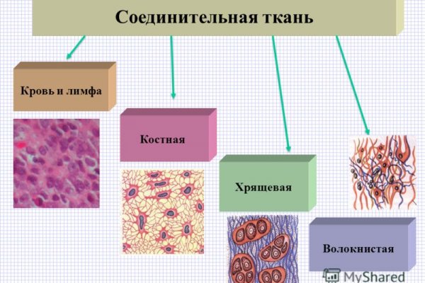 Актуальное зеркало на кракен